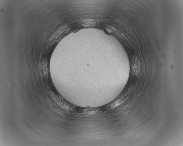 X0000076090620200610152320