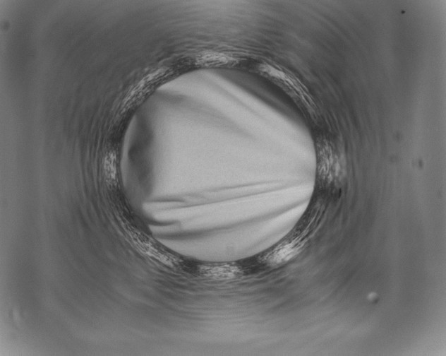 X0000076090621200610152320