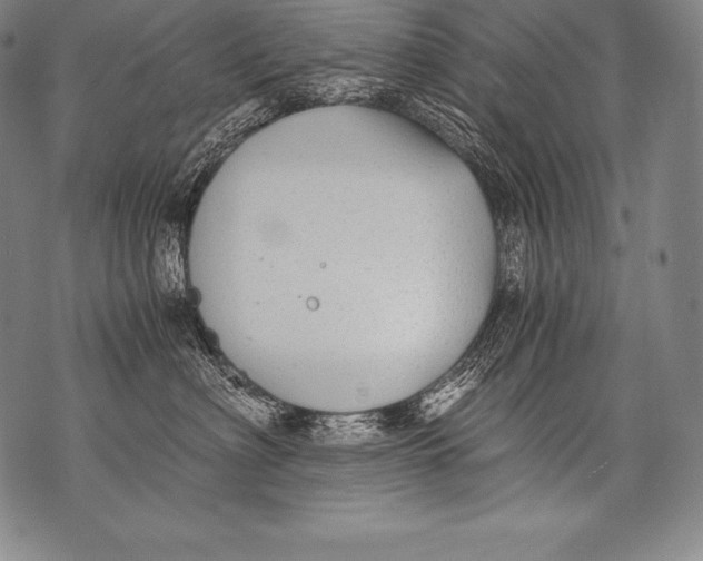 X0000076090622200610152320