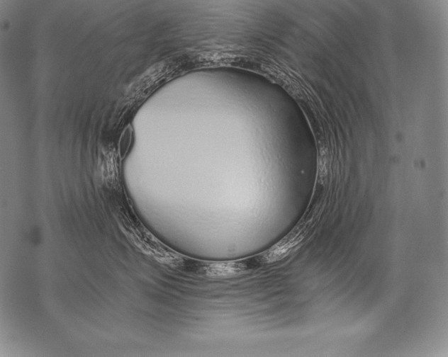 X0000076090623200610152320