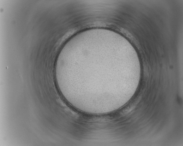 X0000076090625200610152319