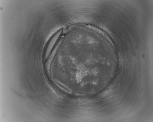 X0000076090626200610152319