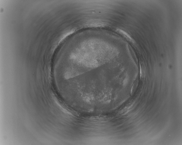 X0000076090627200610152319