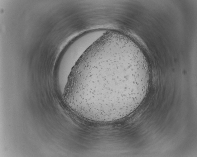 X0000076090628200610152319