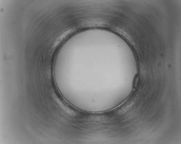 X0000076090629200610152319