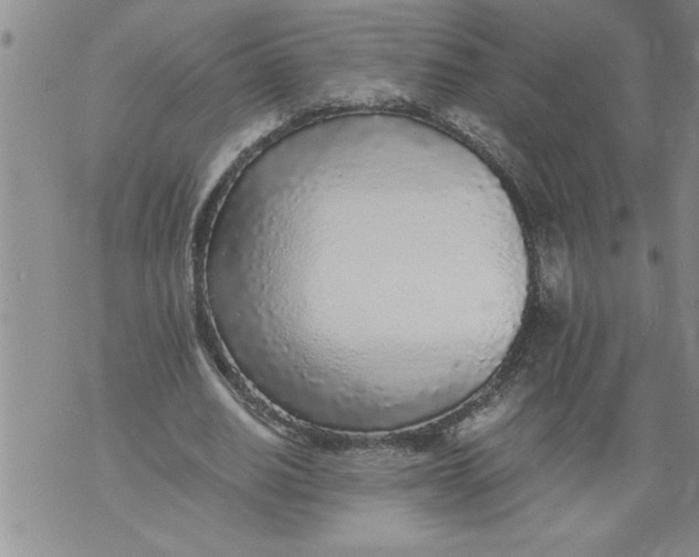 X0000076090630200610152319