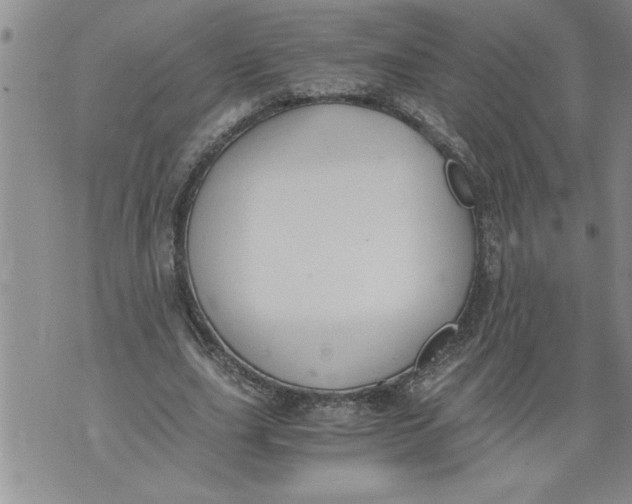 X0000076090631200610152319