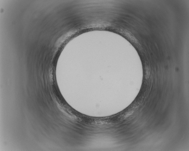 X0000076090632200610152319