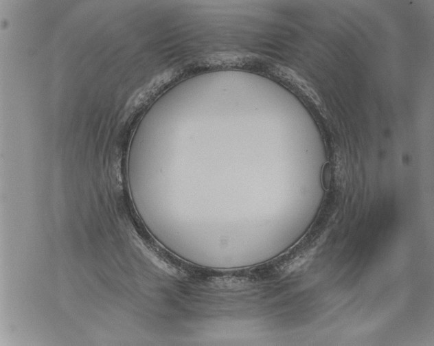 X0000076090633200610152319