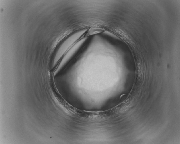 X0000076090634200610152319