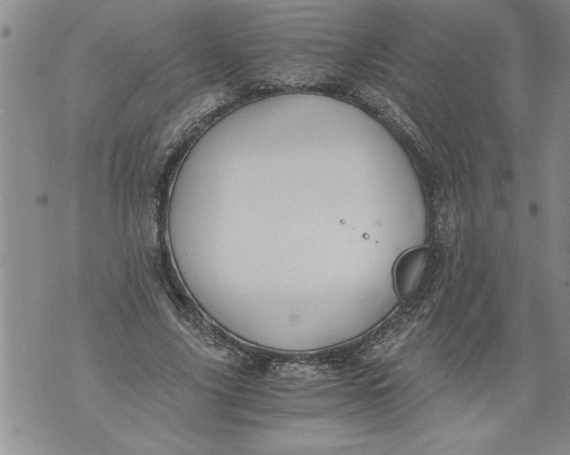 X0000076090635200610152319