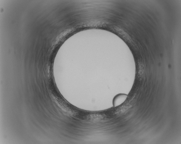 X0000076090636200610152319