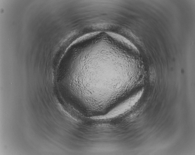 X0000076090637200610152319