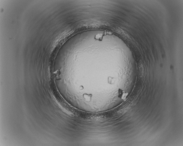 X0000076090638200610152319