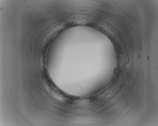 X0000076090639200610152319