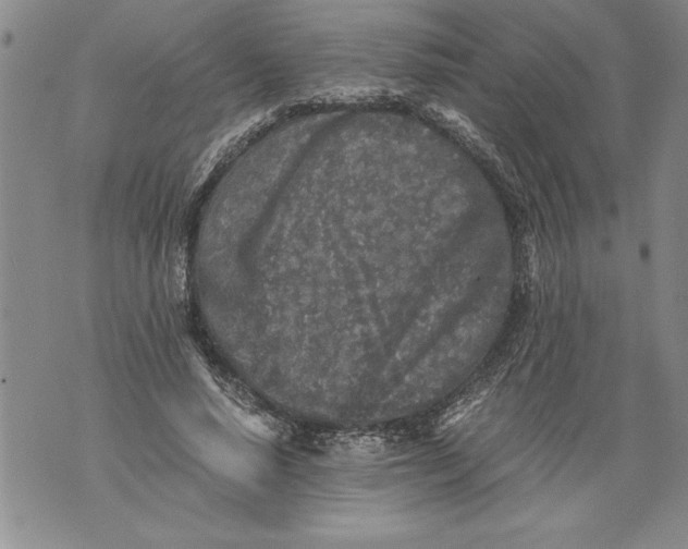 X0000076090640200610152319