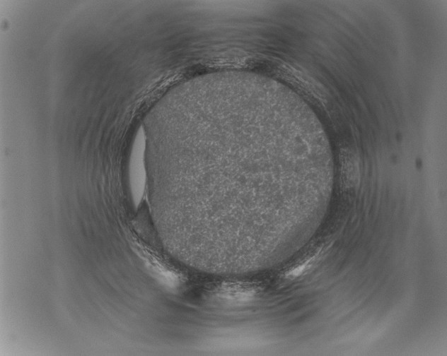 X0000076090641200610152319