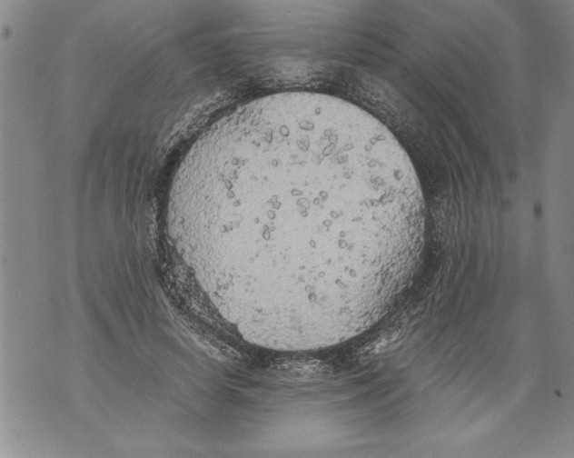 X0000076090642200610152319