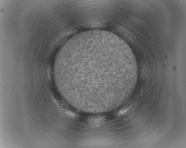 X0000076090643200610152319