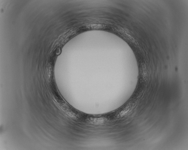 X0000076090645200610152319