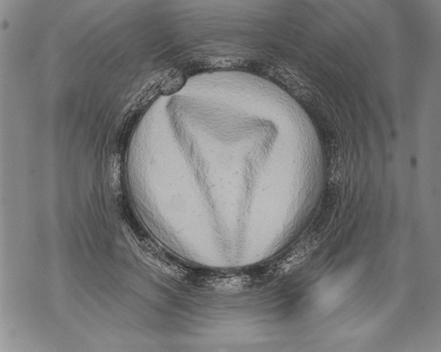 X0000076090646200610152319