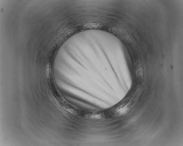 X0000076090647200610152319