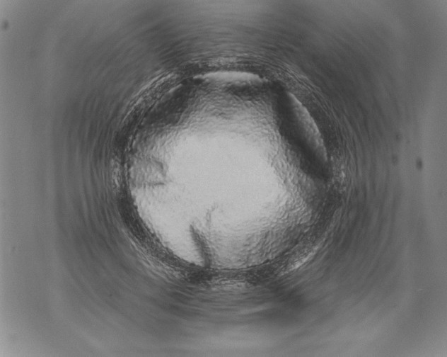 X0000076090648200610152319