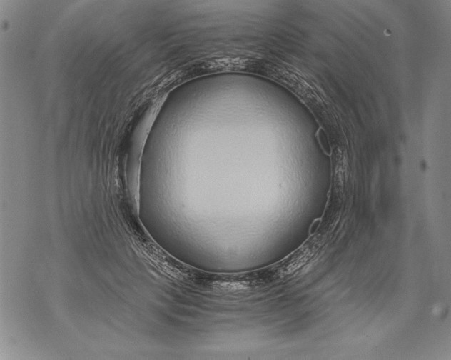 X0000076090649200610152319