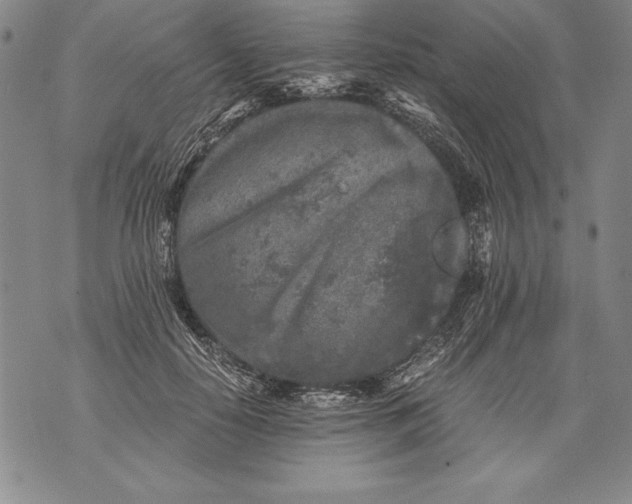 X0000076090650200610152319