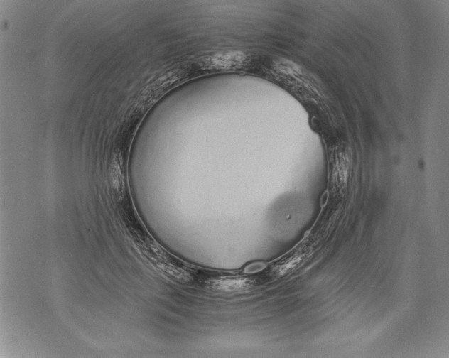 X0000076090651200610152319