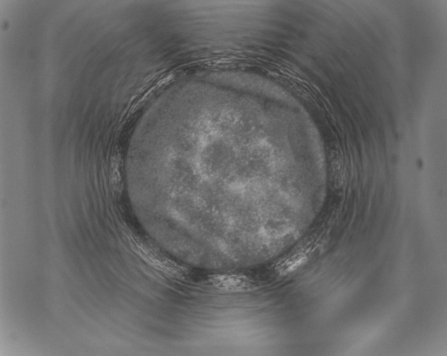 X0000076090654200610152319