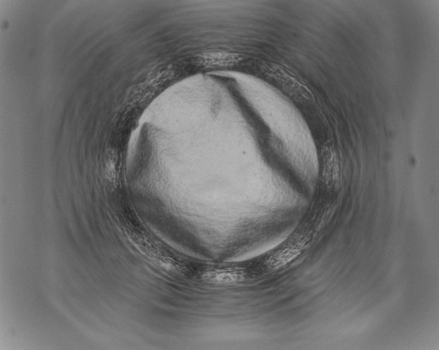 X0000076090655200610152319