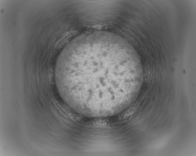 X0000076090656200610152320