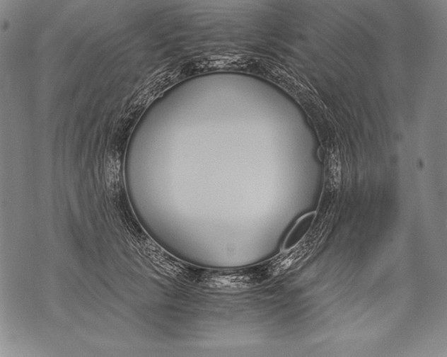 X0000076090657200610152320