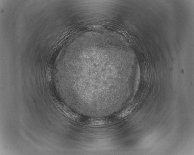 X0000076090658200610152320