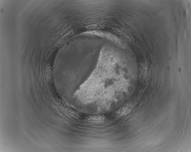 X0000076090659200610152320