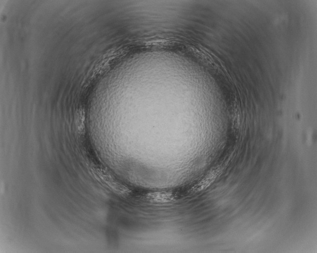 X0000076090660200610152320