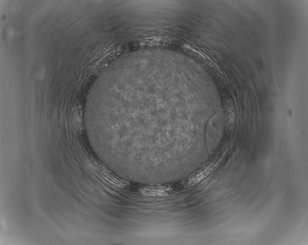 X0000076090661200610152320