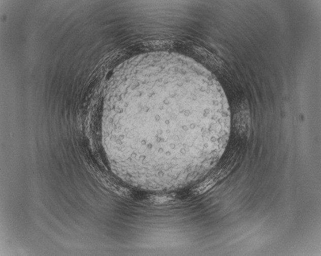 X0000076090662200610152320