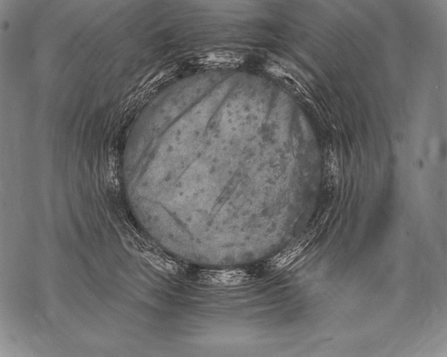 X0000076090663200610152320