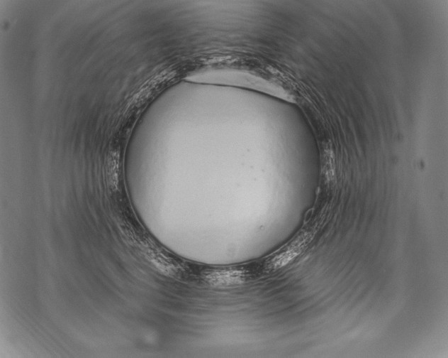 X0000076090664200610152320