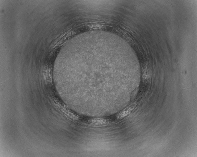 X0000076090666200610152320