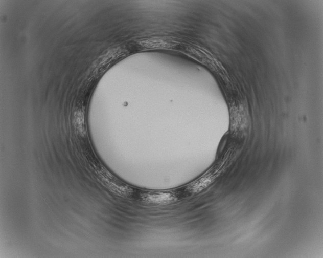 X0000076090669200610152320