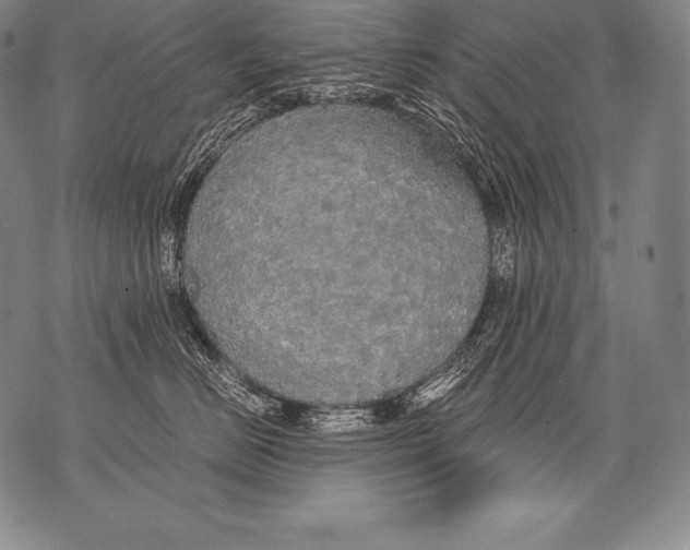 X0000076090670200610152320