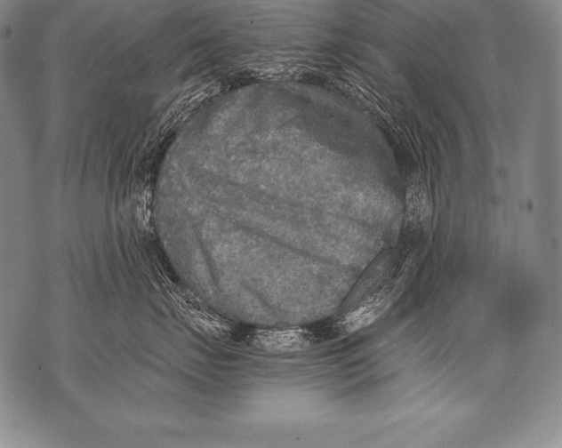 X0000076090671200610152320