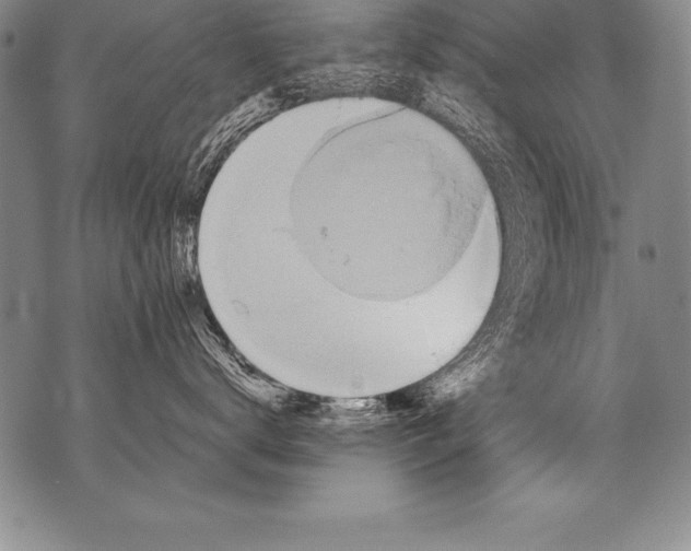 X0000076090672200610152320