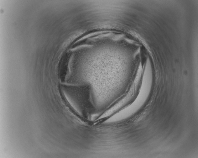 X0000076090673200610152319