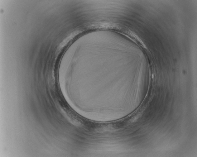 X0000076090674200610152319