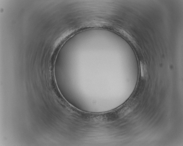 X0000076090675200610152319