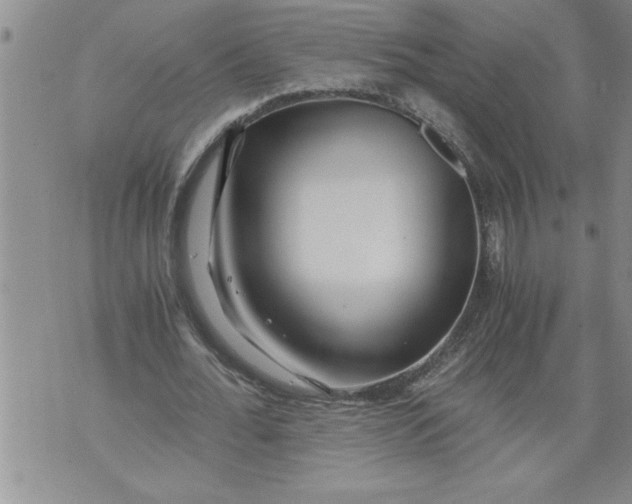 X0000076090676200610152319